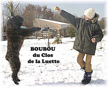 Elevage du CLOS DE LA LUETTE - COPYRIGHT DEPOSE