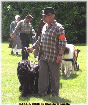 Bouvier des Flandres copyright Elevage du Clos de la Luette