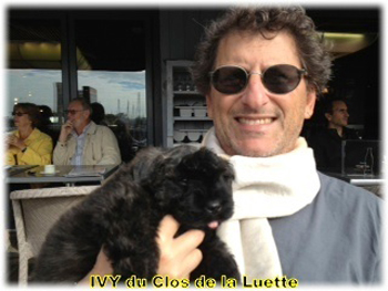 IVY du Clos de la Luette © Elevage de Bouvier des Flandres du Clos de la Luette