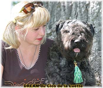 Bouvier des Flandres DREAM - Elevage du CLOS DE LA LUETTE - COPYRIGHT DEPOSE