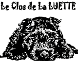 SITE WEB ELEVAGE DU CLOS DE LA LUETTE SPECIALISE POUR LE BOUVIER DES FLANDRES © COPYRIGHT DEPOSE