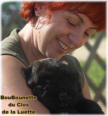 bouvier des flandres photo chiot - Elevage Clos Luette -  COPYRIGHT DEPOSE