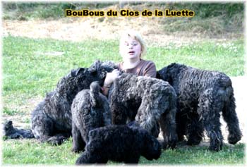 Elevage du CLOS DE LA LUETTE - COPYRIGHT DEPOSE