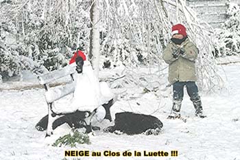 Elevage du CLOS DE LA LUETTE - COPYRIGHT DEPOSE