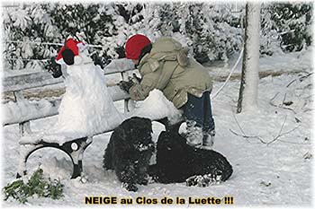 Elevage du CLOS DE LA LUETTE - COPYRIGHT DEPOSE