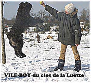 Elevage du CLOS DE LA LUETTE - COPYRIGHT DEPOSE