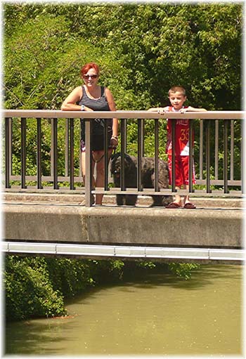 Bouvier des Flandres image  -  Elevage du Clos de la Luette - Copyright dpos