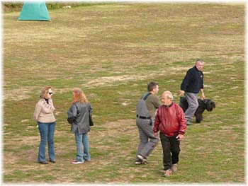 Elevage du CLOS DE LA LUETTE - COPYRIGHT DEPOSE