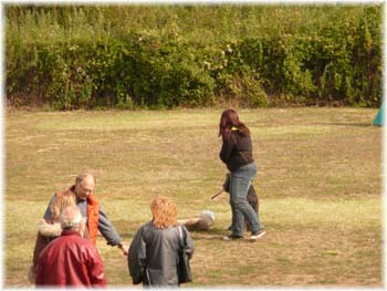 Elevage du CLOS DE LA LUETTE - COPYRIGHT DEPOSE