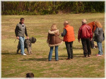 Elevage du CLOS DE LA LUETTE - COPYRIGHT DEPOSE