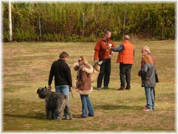 Elevage du CLOS DE LA LUETTE - COPYRIGHT DEPOSE