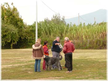 Elevage du CLOS DE LA LUETTE - COPYRIGHT DEPOSE