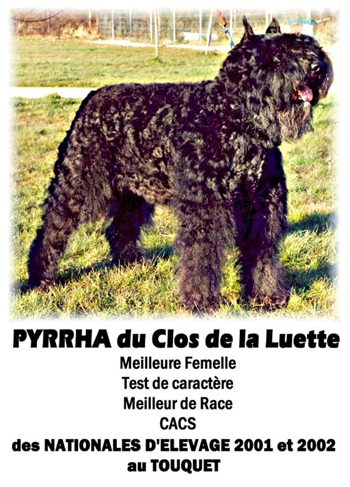 PYRRHA du Clos de la Luette