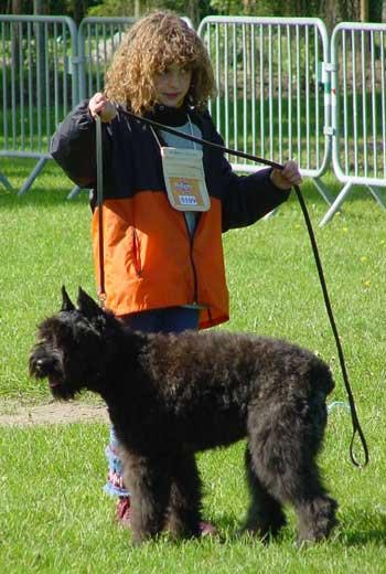 PAOLA du Clos de la Luette