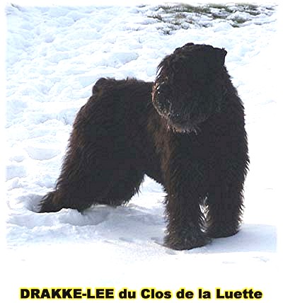 DRAKE LEE du Clos de la Luette