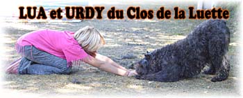 Elevage du CLOS DE LA LUETTE - COPYRIGHT DEPOSE