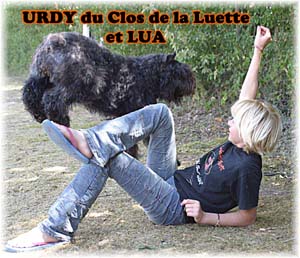 Elevage du CLOS DE LA LUETTE - COPYRIGHT DEPOSE